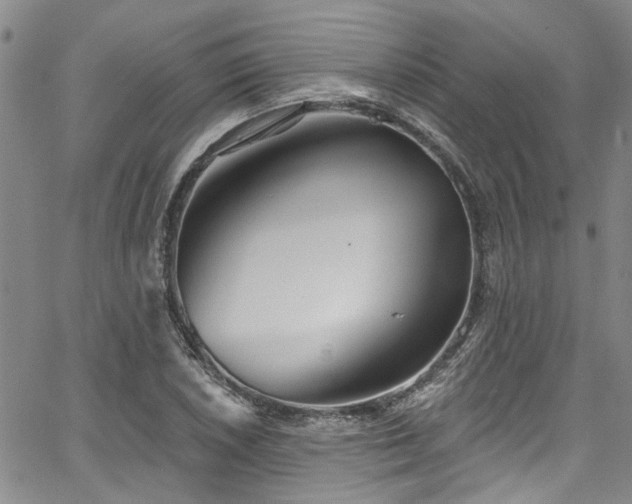 X0000067491026200604071159