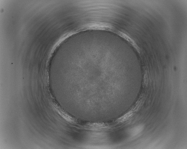 X0000067491027200604071159