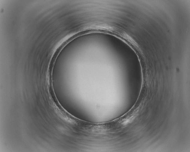 X0000067491028200604071159