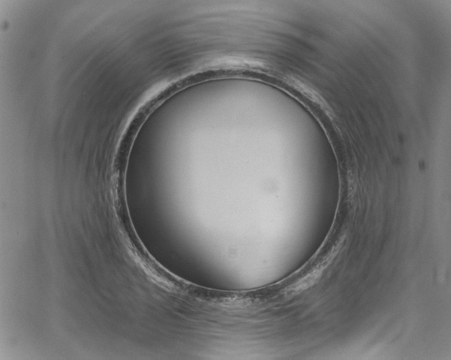 X0000067491029200604071159