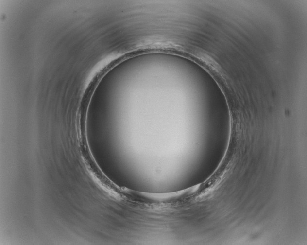 X0000067491030200604071159