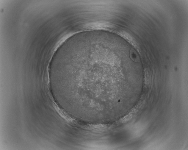 X0000067491031200604071159