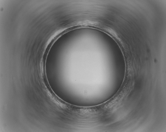 X0000067491032200604071159