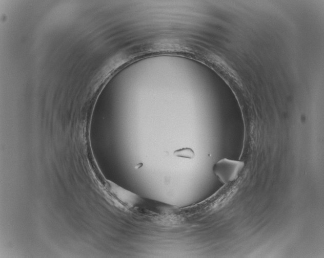 X0000067491033200604071159