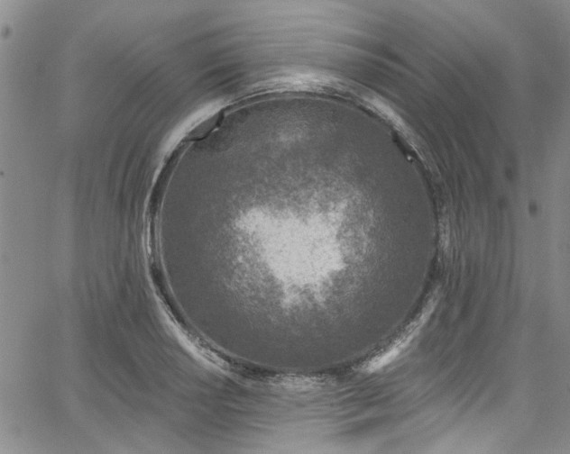 X0000067491034200604071159