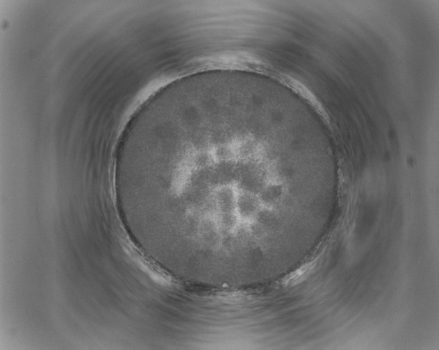 X0000067491035200604071159