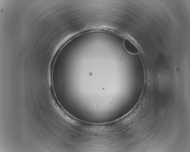 X0000067491036200604071159