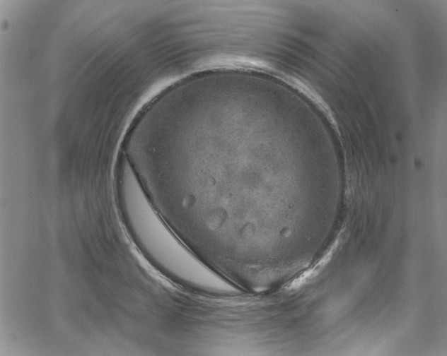 X0000067491037200604071159