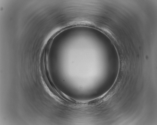 X0000067491038200604071159