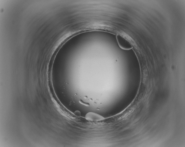 X0000067491039200604071159