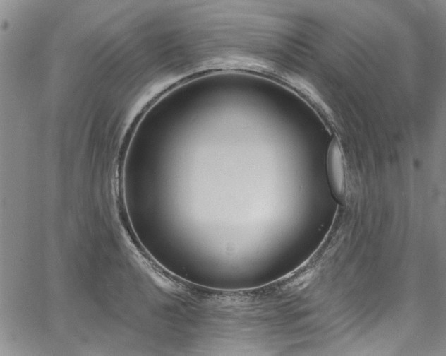 X0000067491040200604071159