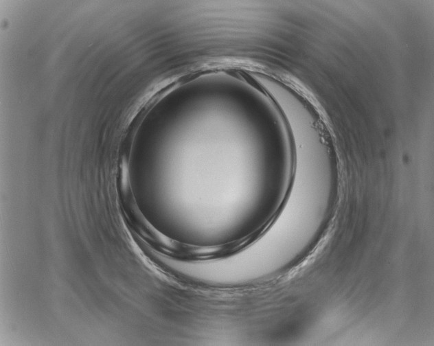 X0000067491041200604071159