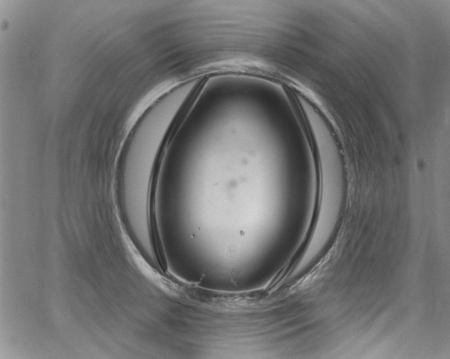 X0000067491042200604071159