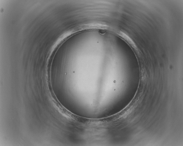 X0000067491043200604071159