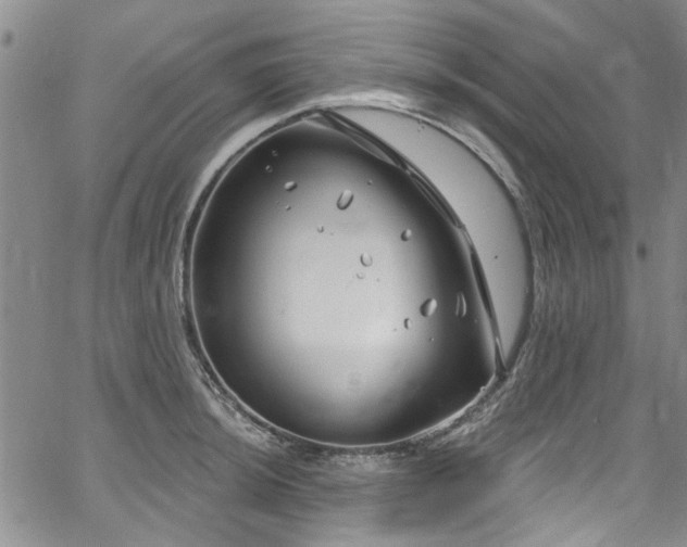 X0000067491044200604071159