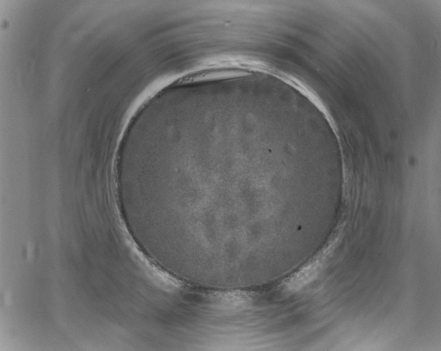 X0000067491045200604071159