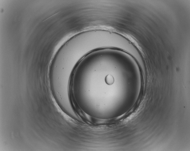 X0000067491046200604071159