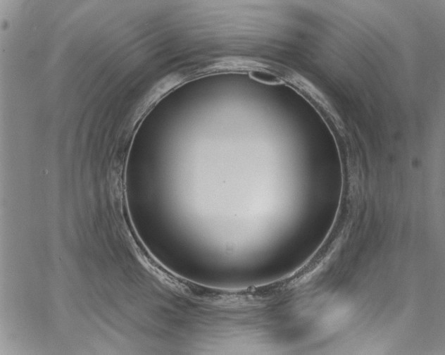 X0000067491049200604071159