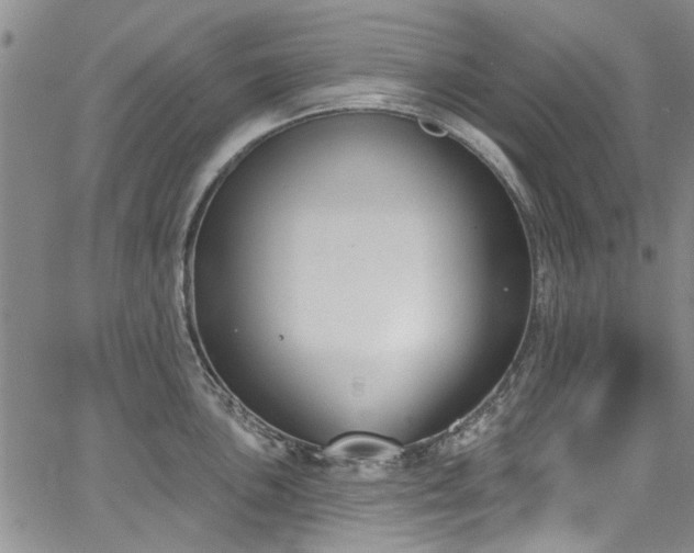 X0000067491051200604071159