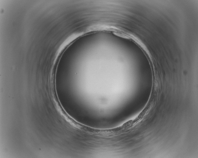 X0000067491053200604071159