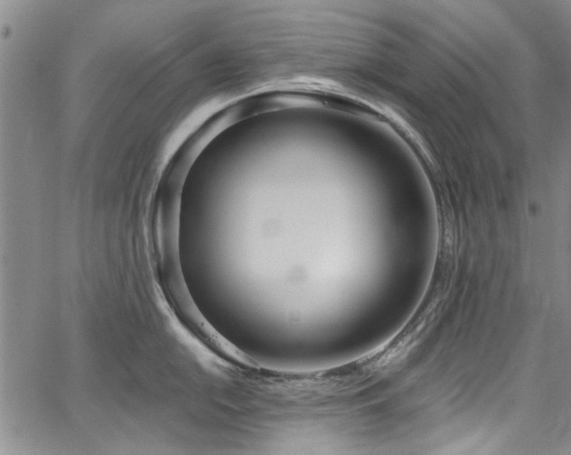 X0000067491054200604071159