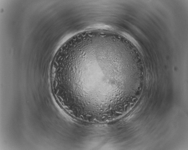 X0000067491055200604071159