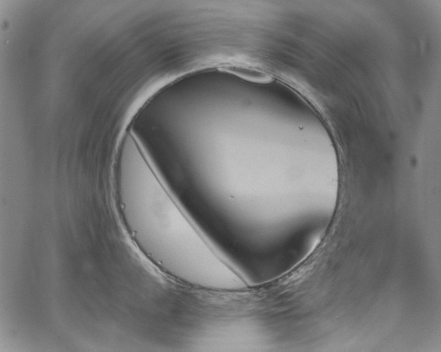 X0000067491056200604071159