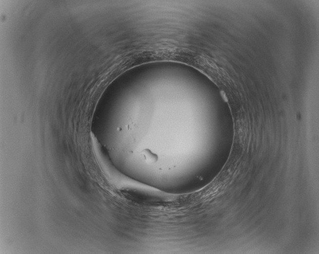 X0000067491057200604071158