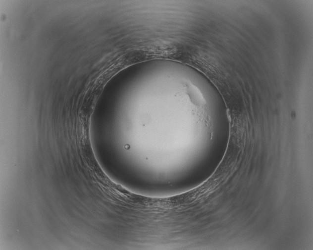 X0000067491058200604071158