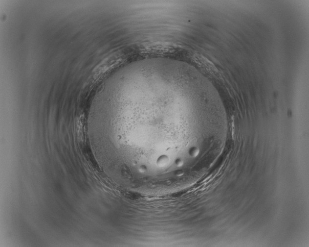 X0000067491059200604071158