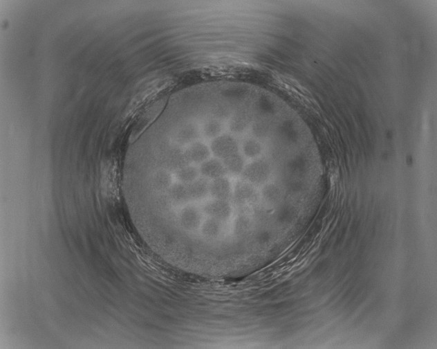 X0000067491060200604071158