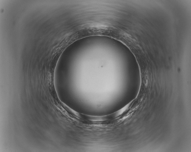 X0000067491061200604071158