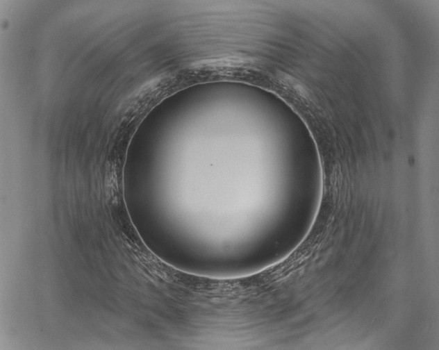 X0000067491062200604071158