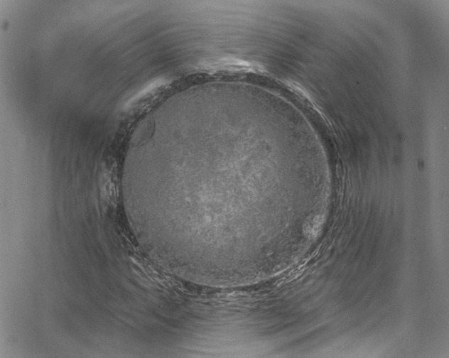 X0000067491063200604071158