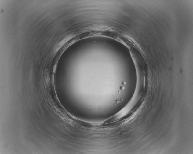 X0000067491065200604071158