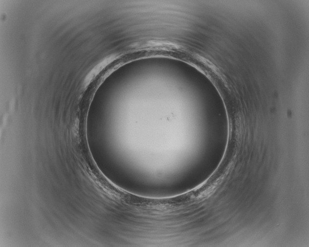 X0000067491066200604071158