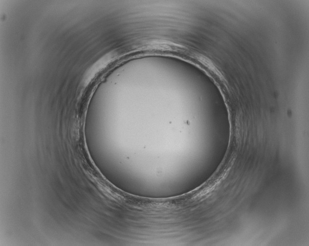 X0000067491067200604071158