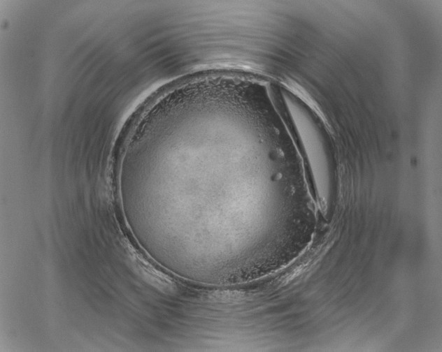 X0000067491068200604071158