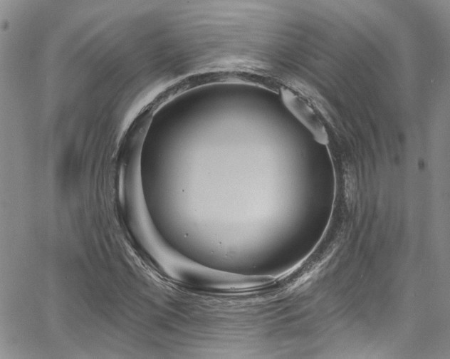 X0000067491069200604071158