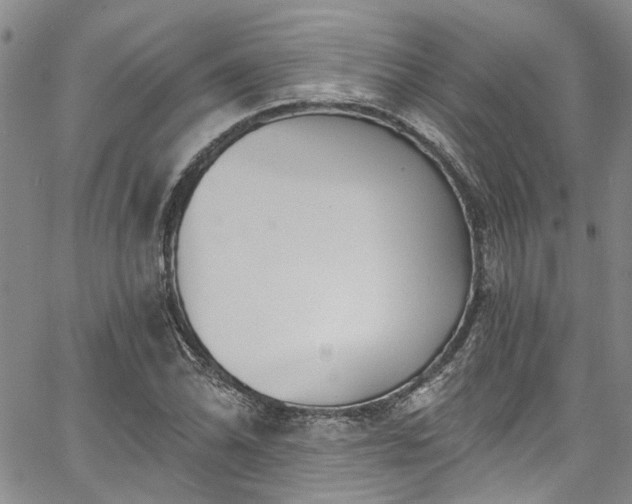 X0000067491070200604071158