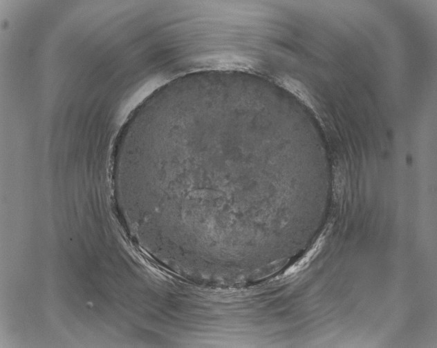 X0000067491071200604071158