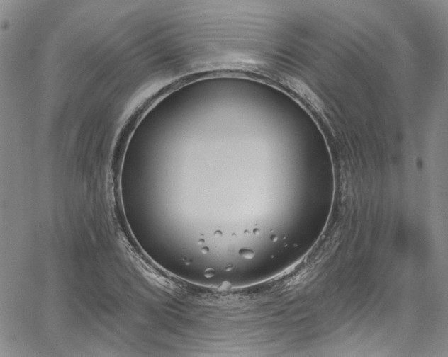 X0000067491072200604071158