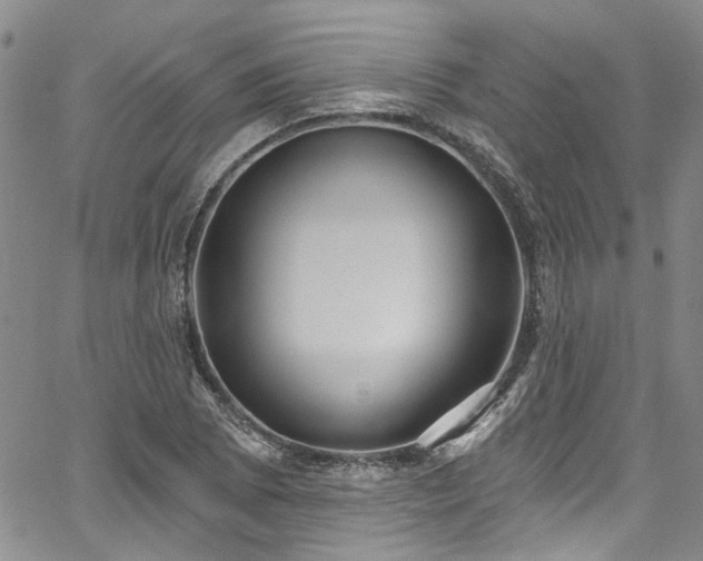 X0000067491073200604071158