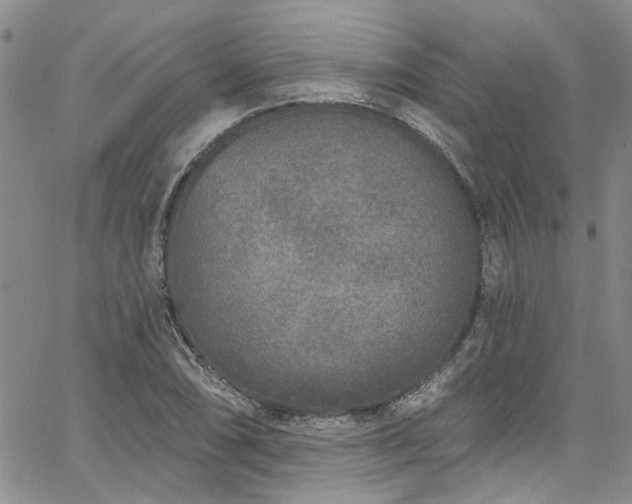 X0000067491074200604071158