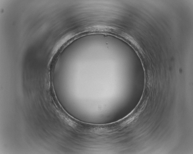 X0000067491075200604071158