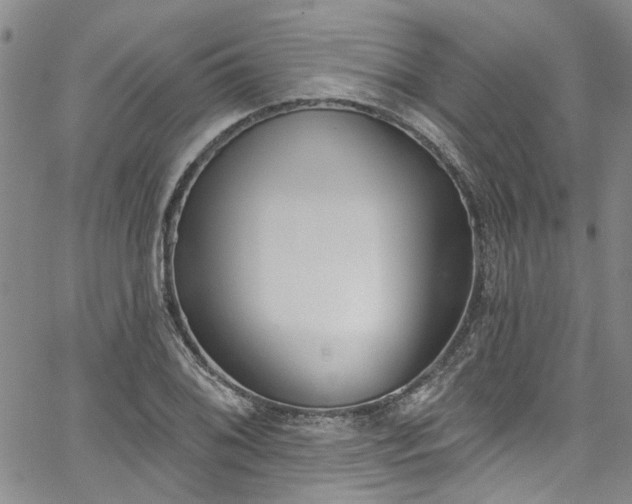 X0000067491076200604071158