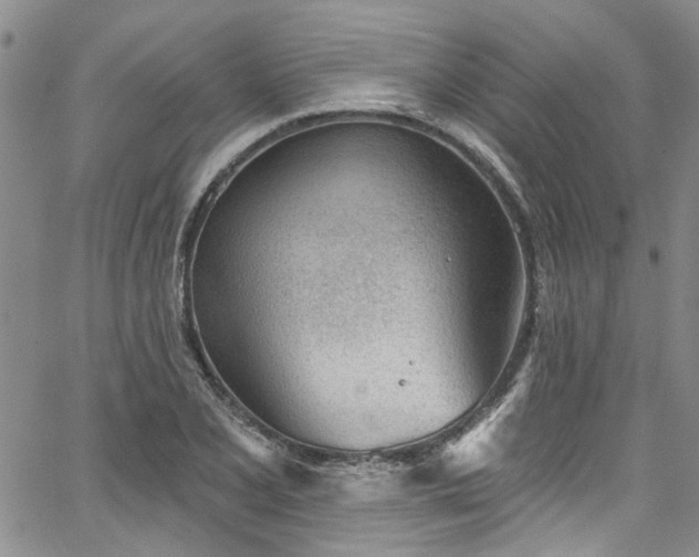 X0000067491077200604071158