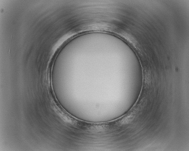 X0000067491078200604071158