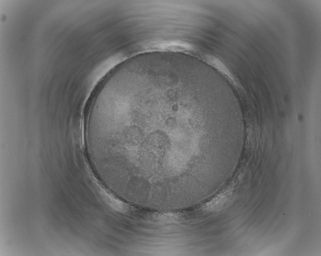 X0000067491079200604071158