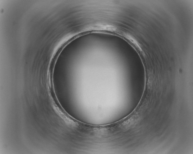 X0000067491080200604071158